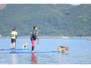 プランの魅力 愛犬と一緒に思い出作り！！ の画像