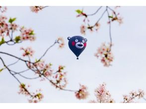 プランの魅力 春には空からお花見ができます の画像