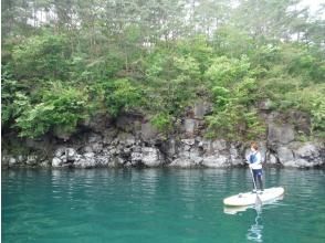 プランの魅力 富士五湖唯一の「樹海クルージング」 の画像