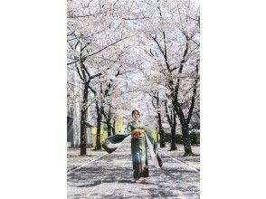 プランの魅力 振袖レンタル込み の画像