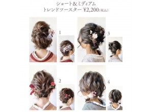 プランの魅力 ヘアセットツースター例 の画像