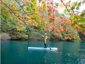 プランの魅力 北海道初上陸！クリアサップで支笏湖の美しい景色を堪能しよう‼ の画像