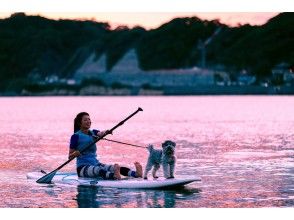 プランの魅力 With a dog の画像