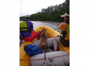 プランの魅力 ペットも一緒に川下り の画像