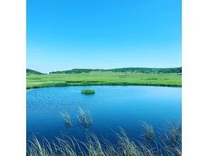 プランの魅力 北の尾瀬と呼ばれる高層湿原 の画像