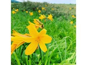 プランの魅力 まるで天空の花園 の画像