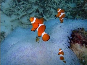 プランの魅力  の画像