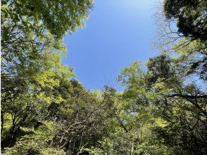 プランの魅力 木々に囲まれた自然の森をお楽しみください♪ の画像