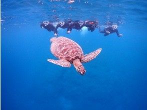 プランの魅力  の画像