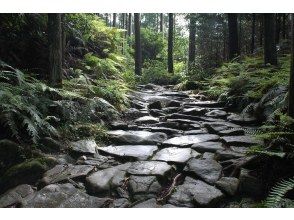 プランの魅力 熊野古道・馬越峠 の画像