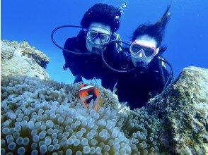 プランの魅力 生き物たちと間近で出会える の画像