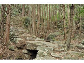 プランの魅力 松本峠 の画像