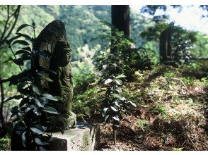 プランの魅力 ツヅラト峠 の画像
