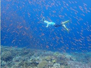 プランの魅力  の画像