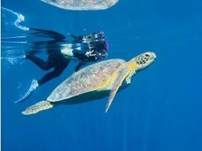 プランの魅力 ウミガメと記念撮影できることも♪ の画像