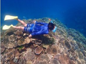 プランの魅力 経験者は素潜りにもチャレンジしてみよう！ の画像