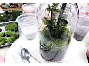 プランの魅力 苔は、フロウソウ・ヒノキ苔・カモジ苔などを の画像