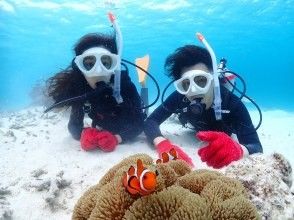 プランの魅力 カップル、ご夫婦で特別な記念写真を の画像