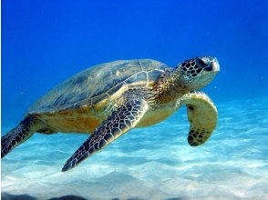 プランの魅力 の画像