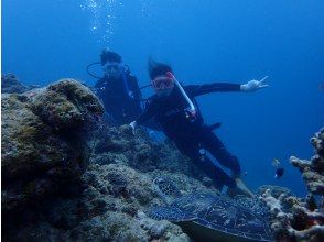 プランの魅力 の画像