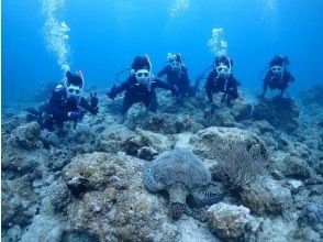 プランの魅力 卒業旅行や慰安旅行などグループ大歓迎！ の画像