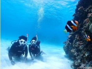 プランの魅力 こんな白い砂の背景でクマノミさんと思い出の1枚を の画像