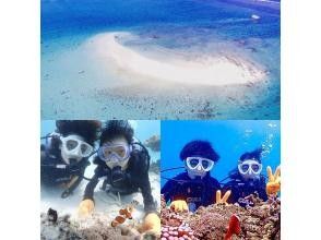 プランの魅力 半日コースでタイパ抜群！ の画像