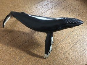 プランの魅力 ザトウクジラのフィギュア2 の画像