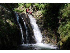 プランの魅力  の画像