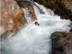 プランの魅力  の画像