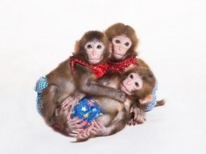 プランの魅力 の画像
