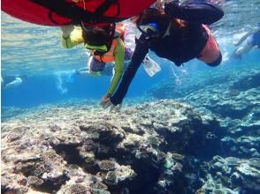 プランの魅力 ツアー業界最高水準の安全性 の画像