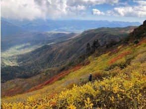 プランの魅力 Autumn leaves spread like a carpet! の画像