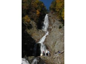 プランの魅力 秘滝・赤岩滝! の画像