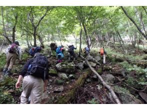 プランの魅力 道なき道を行け！ の画像