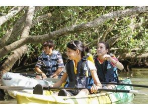 プランの魅力 Mangrove observation の画像