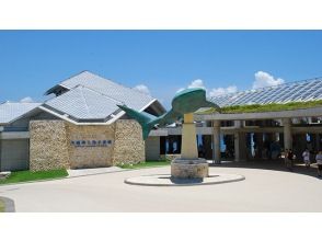 プランの魅力 海洋博公園・美ら海水族館 の画像