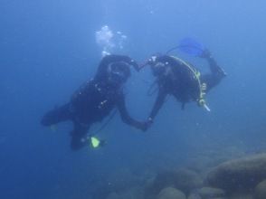 プランの魅力  の画像