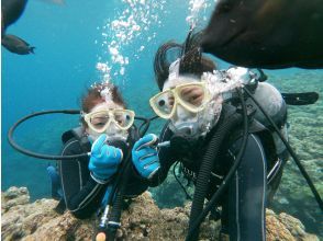 プランの魅力 您可以享受潛水。 の画像