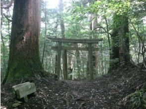 プランの魅力 樹齢600年大杉が林立する鷹鳥屋神社参拝 の画像