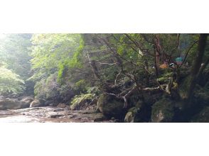 プランの魅力 焚火の可能な野営場所 の画像