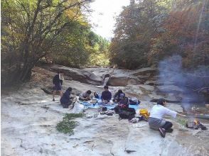 プランの魅力 木の根に覆われた秘密の野営場 の画像