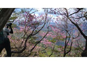 プランの魅力 九州山地縦走尾根 の画像