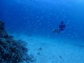 プランの魅力  の画像