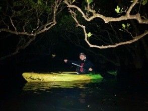 プランの魅力 Unexperienced! To the mangrove at night! の画像