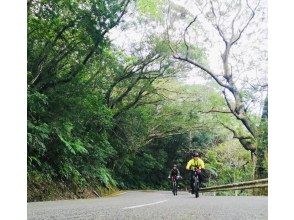 プランの魅力 山を走る！ の画像