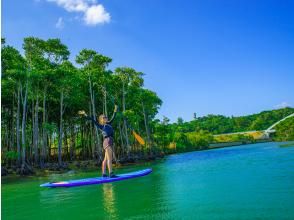 プランの魅力 Enjoy the tranquil nature on a winter-only tour の画像