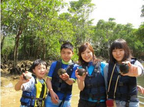 プランの魅力 Unique creatures that live in mangrove areas の画像