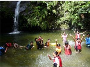 プランの魅力 Play with waterfall basin to your heart's content の画像