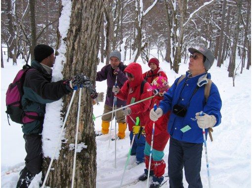 【도치기·오쿠닛코 인기 숍】영화 4년 2월 개최! 오쿠 닛코의 설원을 미끄러진다! 초보자 환영 크로스 컨트리 스키 투어